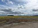 Across the fields from the dog walk
