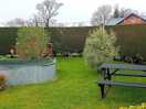 Central garden area