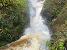 Aira falls