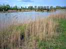 Large lake
