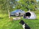 Lovely spot and plenty of space. trees make the perfect tie post for dogs.