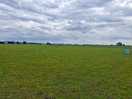 Field