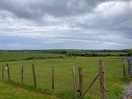 The site was surrounded by fields with cows and horses.