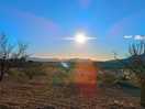 Amaneciendo