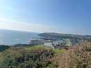 Castle bay 6