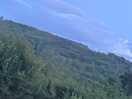Moonlit tent