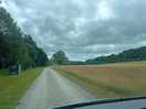 To the site