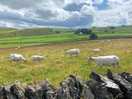 The photos were captured on our walk from stanley lodge farm to foolow/eyam