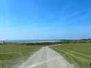 Drive onto the campsite, passing the sheep