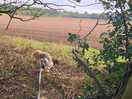 View on our walk