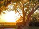 Sun rise
