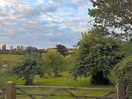Boomgaard