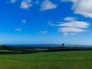 The views