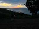 5 minute walk from site
