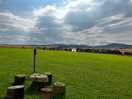 View from the bell tent
