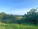 Beautiful w sussex
