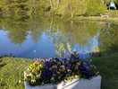 Bord du lac ou se trouve les emplacements