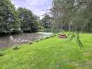 Beautiful woodland garden