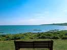 Amazing coastal walk