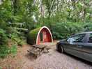 Outdoor space for car and a picnic bench.