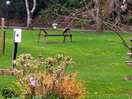 Plennty of benches and tables