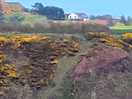 Picsoff st cyrus beach