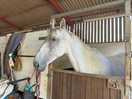 Marlbrook farm