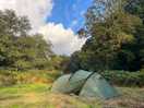 Tent pitch next to a rock walled fire in a woodland clearing.