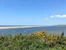 East fleet