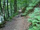 Another part of our walk.