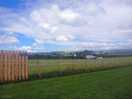 Side of field