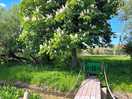 The meon