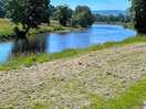 Bolton abbey