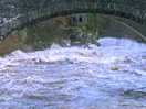 Dramatic scene of the river after heavy rain