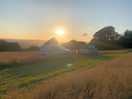 Evening sun