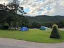 Site view