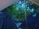 Cosy under the shelter