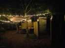 Fairy lights