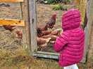 Farm