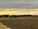 Field