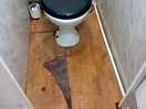 Filthy loo