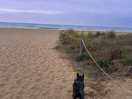 Strand sehr nah