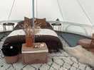 Inside the beautiful tent