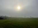 The sun soon burned off the morning mist