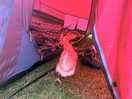 Friend in the tent