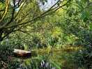 Small pond with access to boat