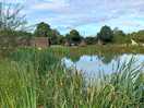 Fishing pond.