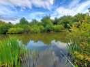 Who cares if the carp are not biting ,with this view
