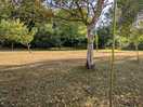 Pitch 4 south paddock