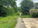 Path to town